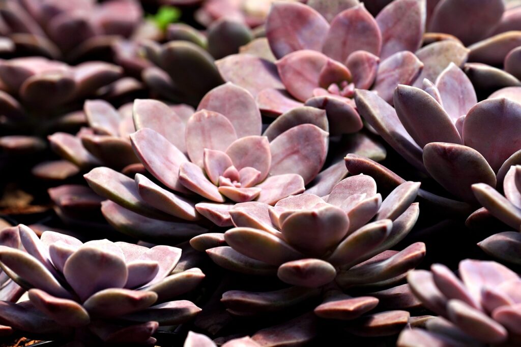 レチノールとEMSの比較レビューでわかる効果とは？