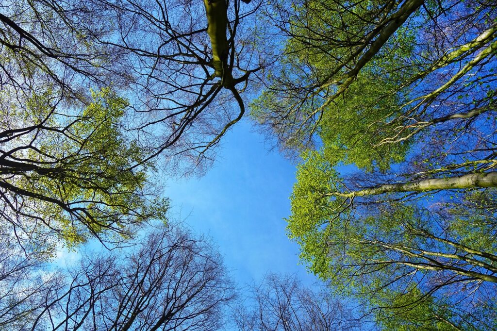 エイジングケアに最適な美顔器の効果とは？