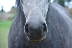 クリニックに行かずに改善するための方法は？