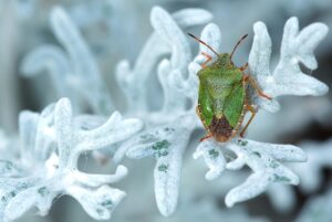 レチノールを使った美容法は皮膚科でどのようにアドバイスされるのか？