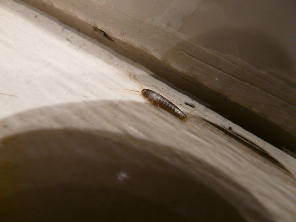 痛くないシミケアの効果的な方法とは？