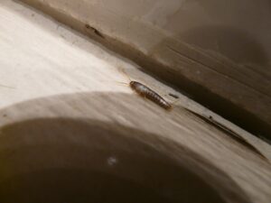痛くないシミケアの効果的な方法とは？