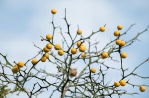 目元の乾燥による小じわを予防するための効果的な対策は？