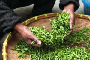 乾燥による小じわ対策に効果的なクリームは？