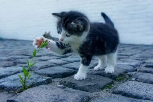 目元が老け見えする原因とその対策は？