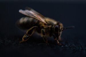 目元集中パックを併用することで得られる効果は？